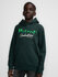 Petrol - Boys Sweater Hooded Print - 6089 - Bottle_